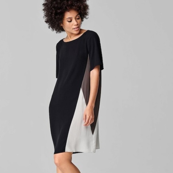 Eileen Fisher Dresses & Skirts - Eileen Fisher Silk Georgette Crepe Dress